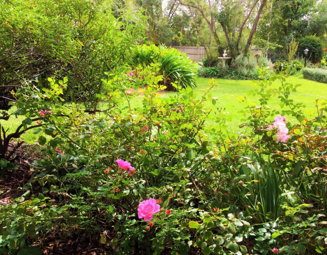 Bed & Breakfast Bindley House